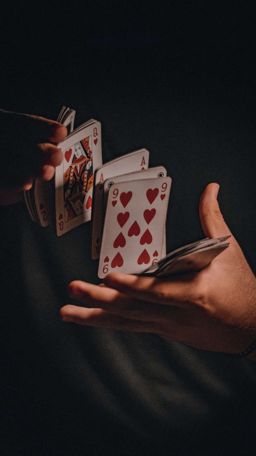 pledoocasino-de.com